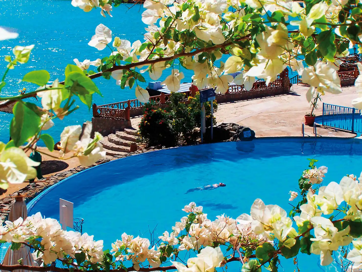 Sultan Bey Pool