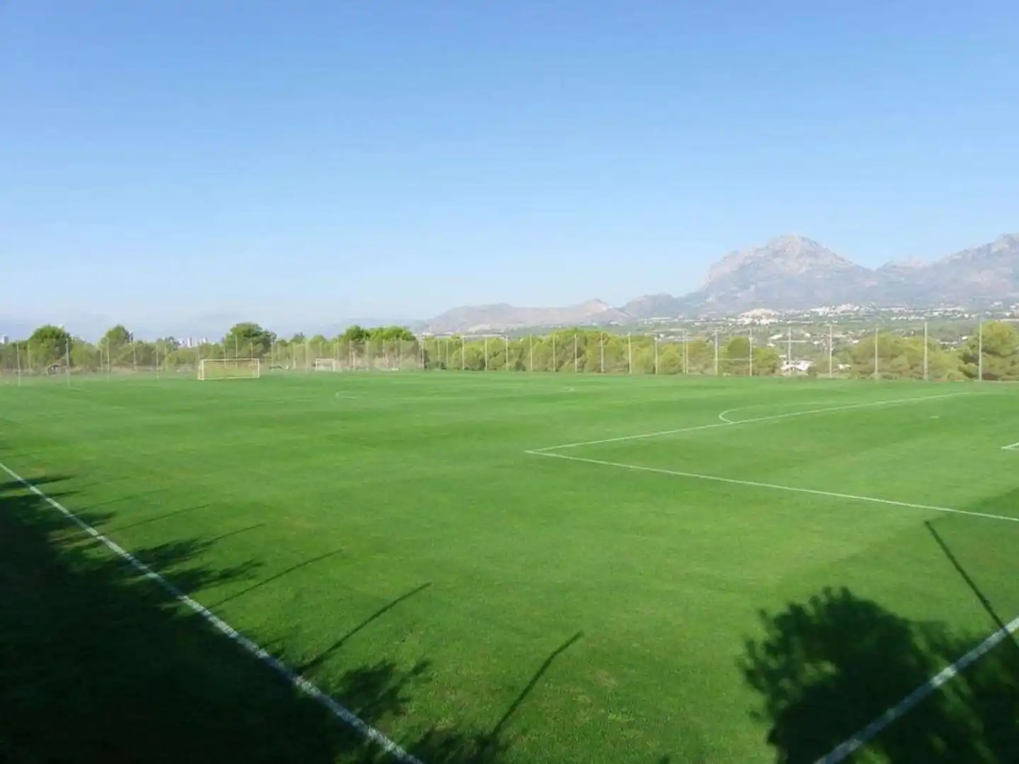 Complejo Albir Garden Landschaft