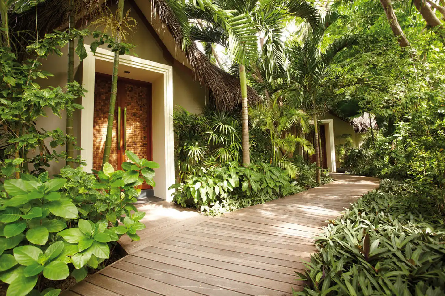 Baros Maldives Garten