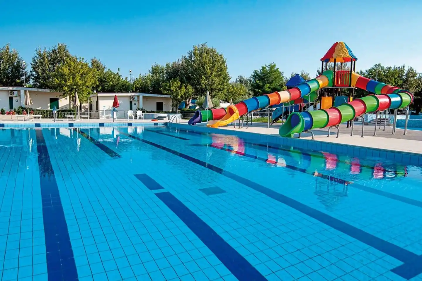 Stork Family Collection Pool