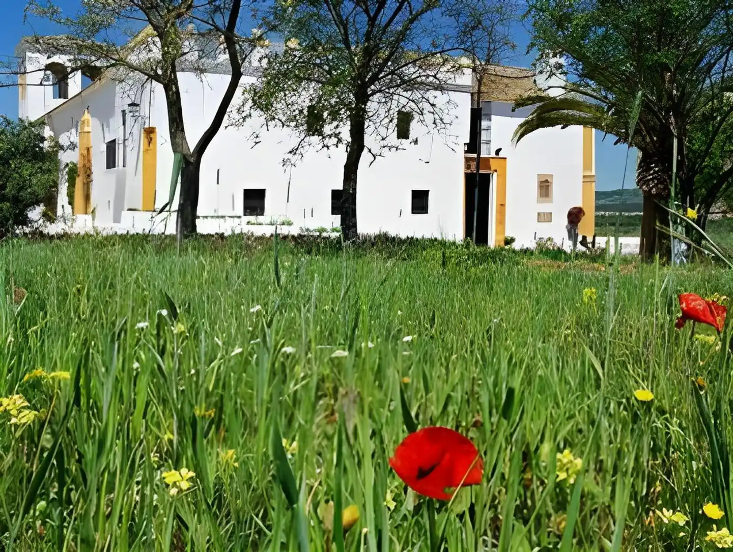 Hacienda el Santiscal Garten