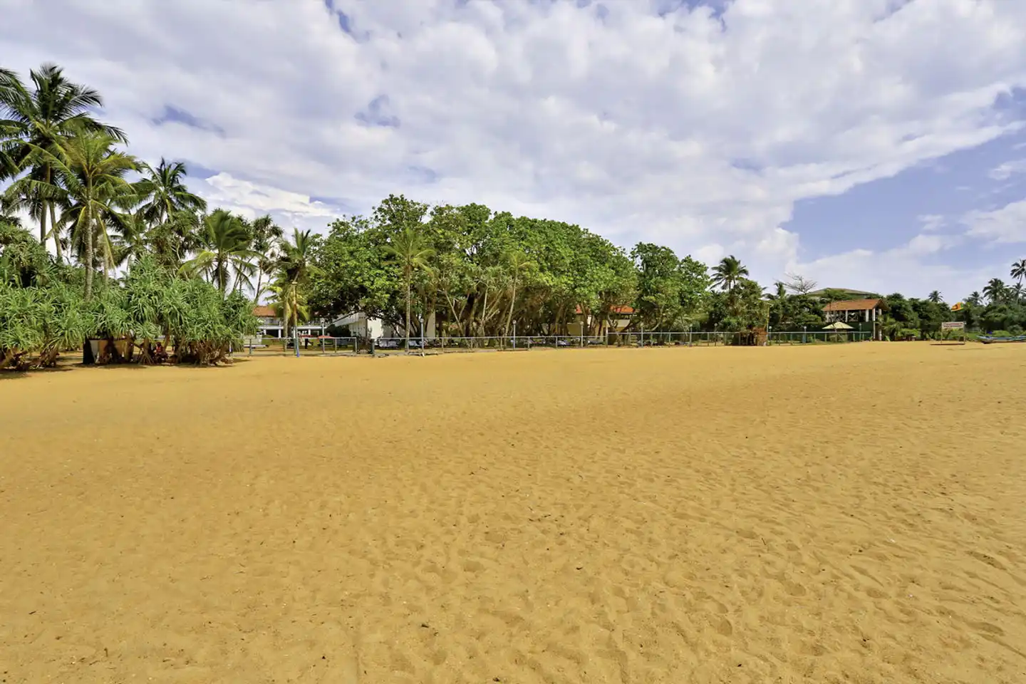 Hibiscus Beach Hotel Landschaft
