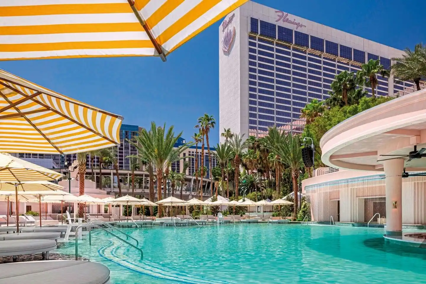 Flamingo Las Vegas Pool