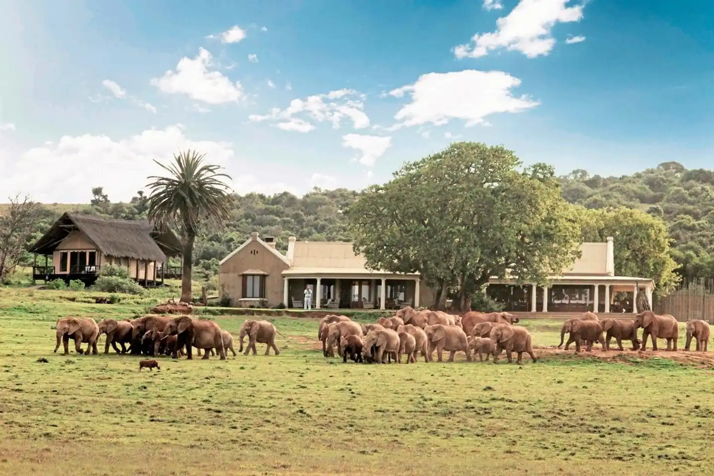 Gorah Elephant Camp Tiere