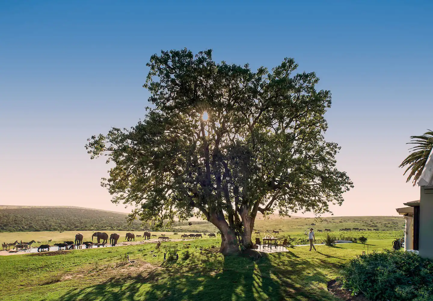 Gorah Elephant Camp Landschaft