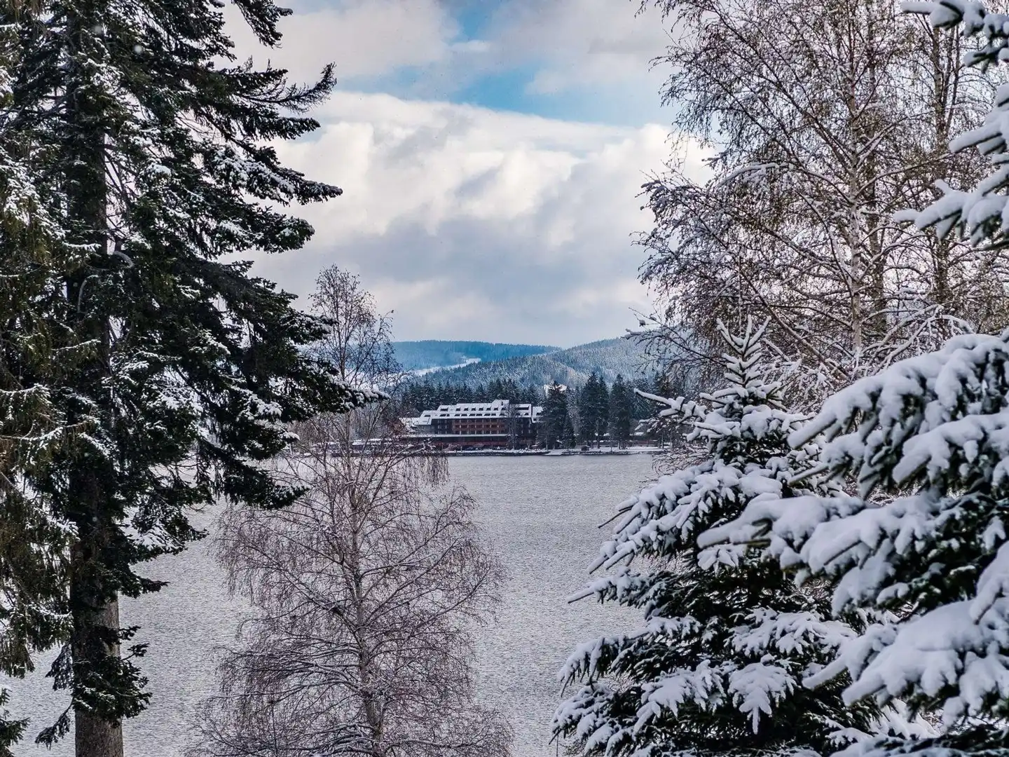 Maritim TitiseeHotel Titisee-Neustadt Landschaft