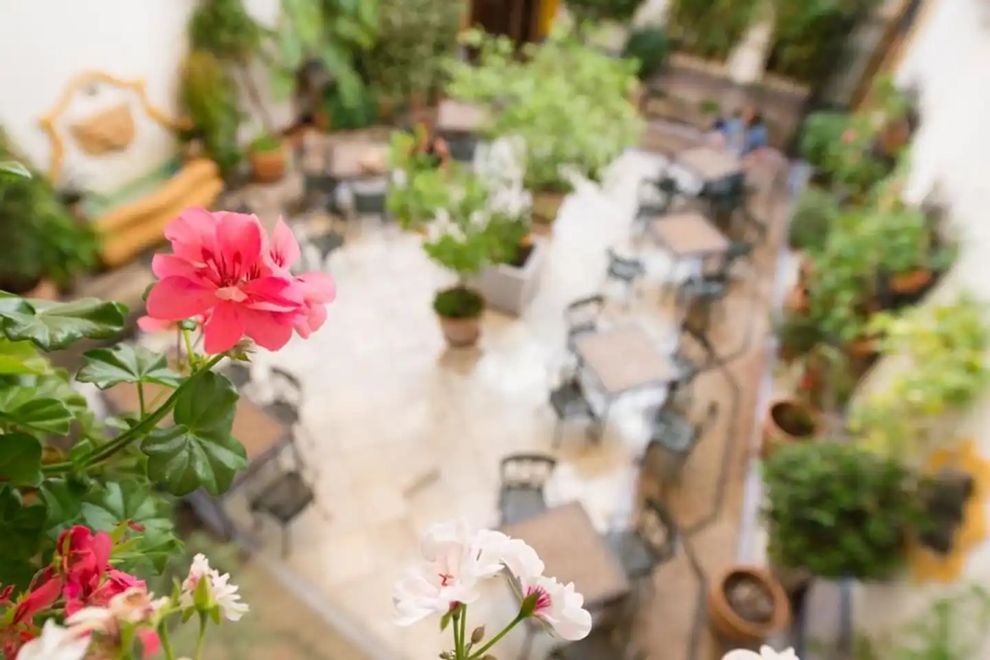 Eurostars Maimonides Hotel Garten