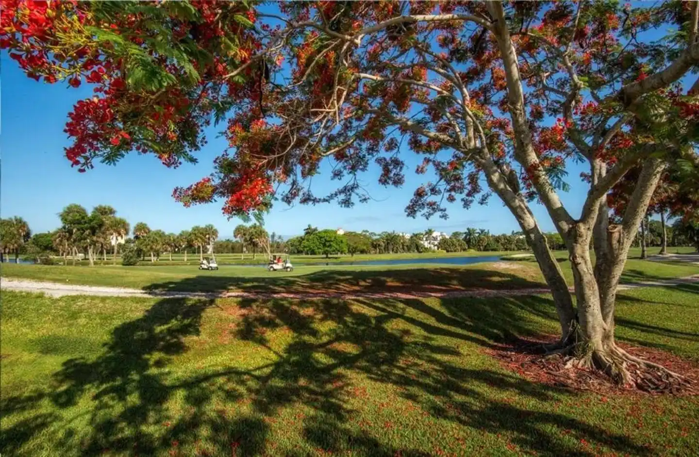Naples Beach Hotel and Golf Club Landschaft