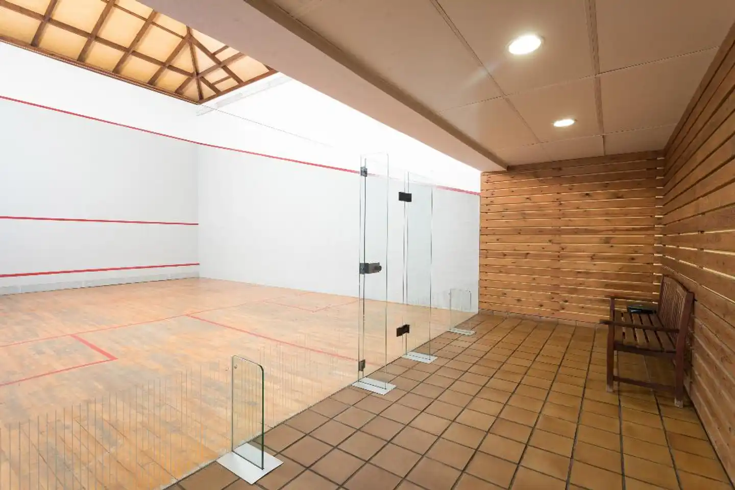 Arena Suite Wellness