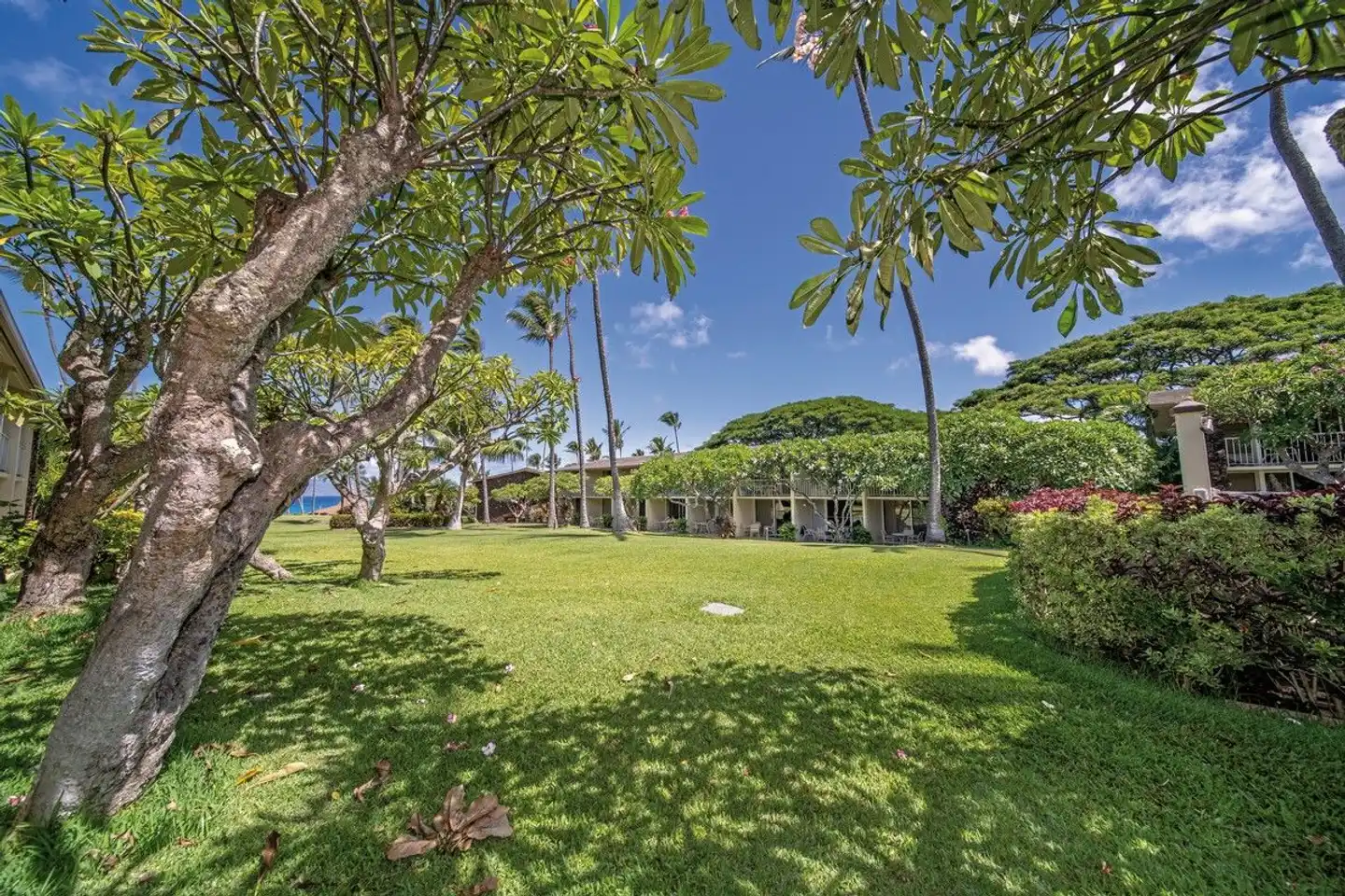 Napili Shores Maui by Outrigger Garten