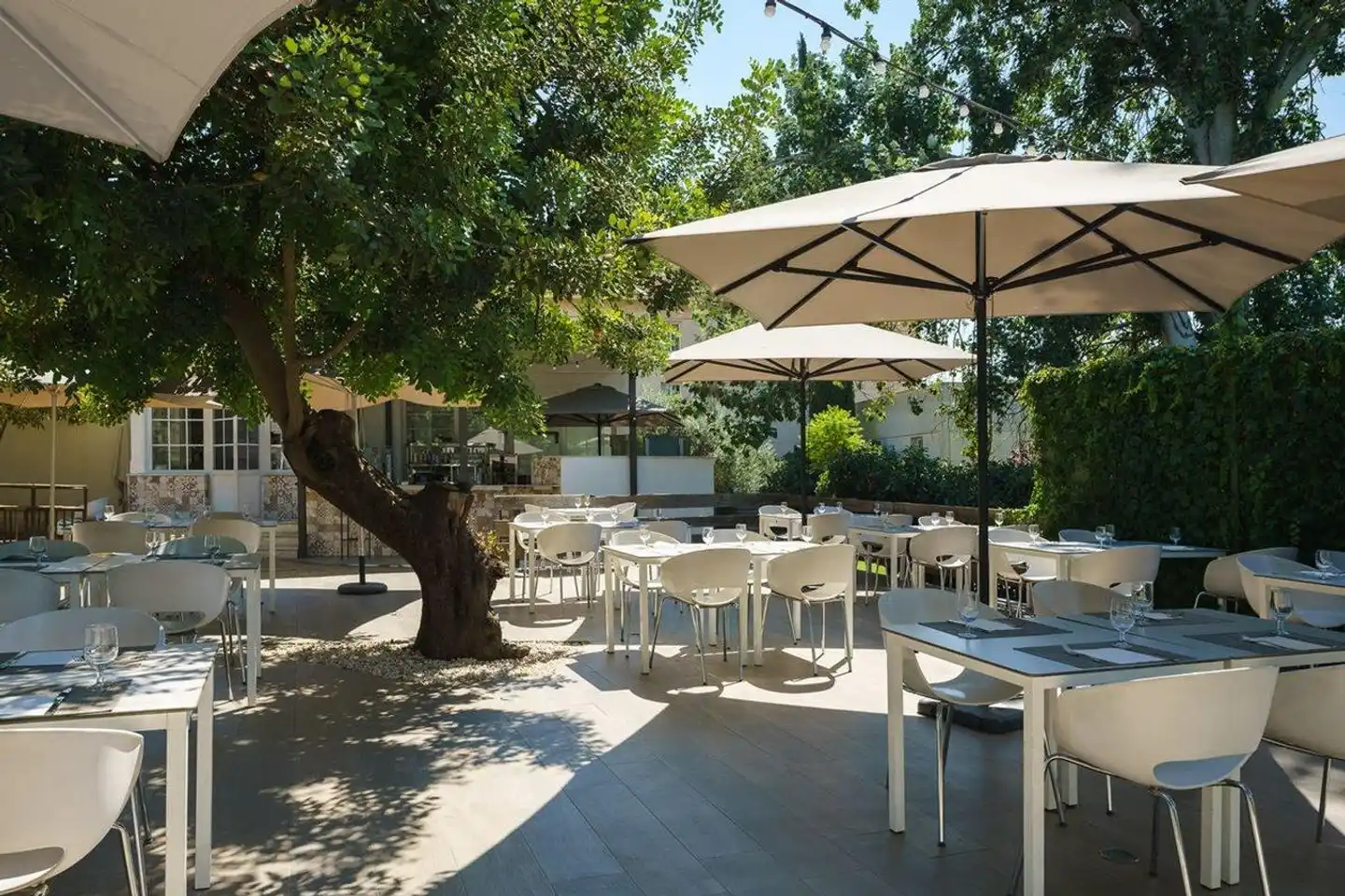 Crisol Jardines de Córdoba Terrasse
