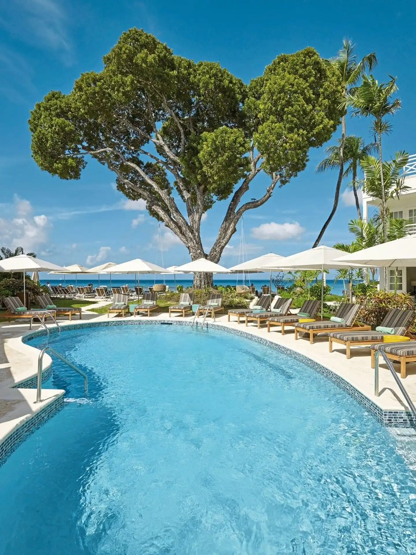 Treasure Beach Art Hotel, An Autograph Collection All-Inclusive Resort Pool