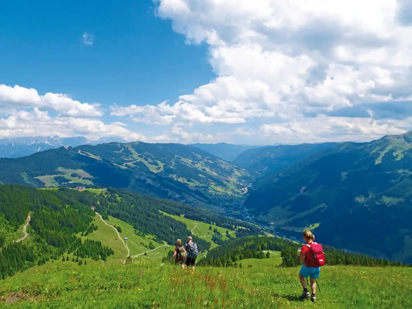 Das Neuhaus Landschaft
