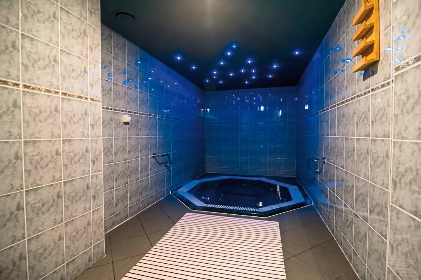 Hotel Snezka Wellness