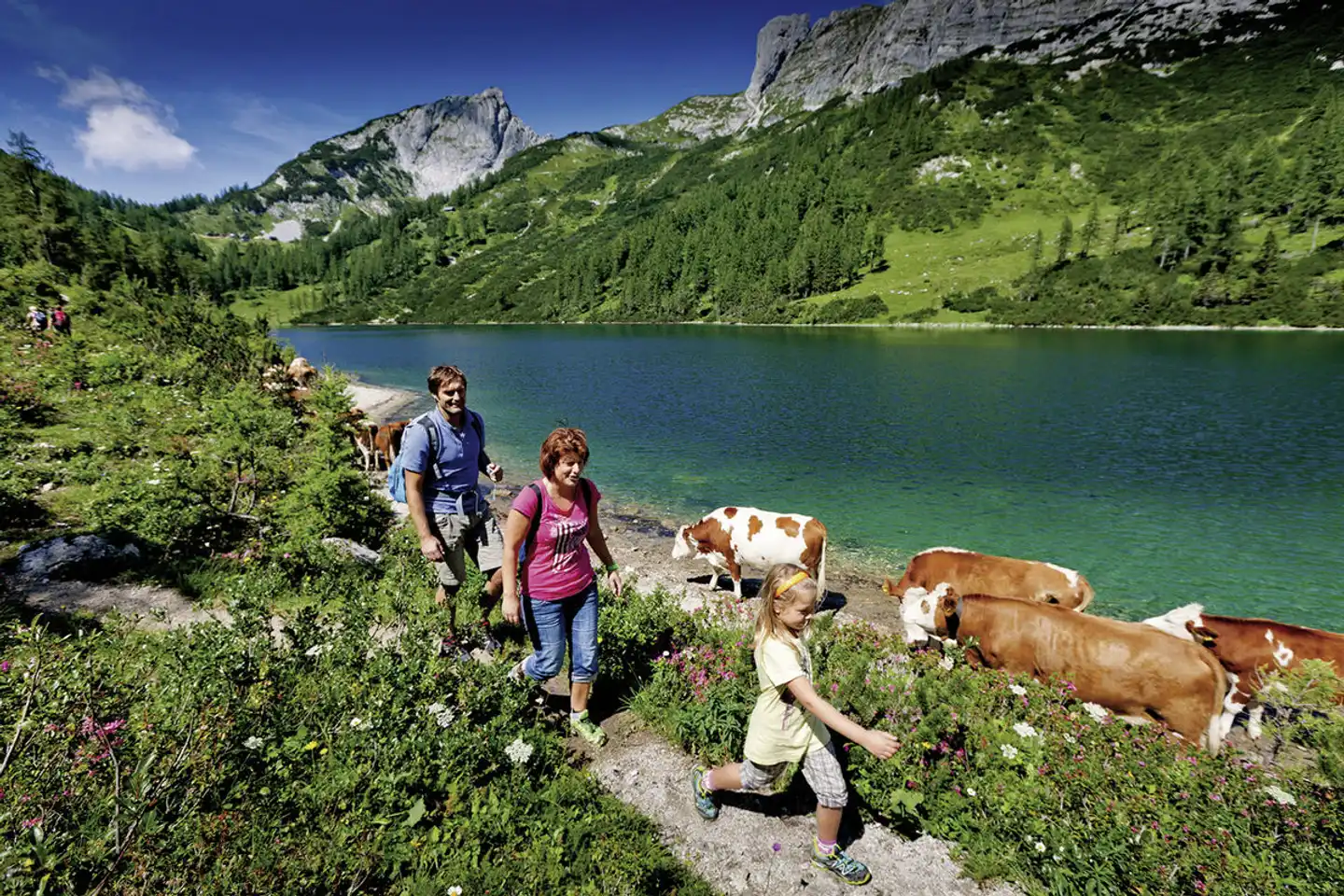 Berghof Tauplitzalm Landschaft