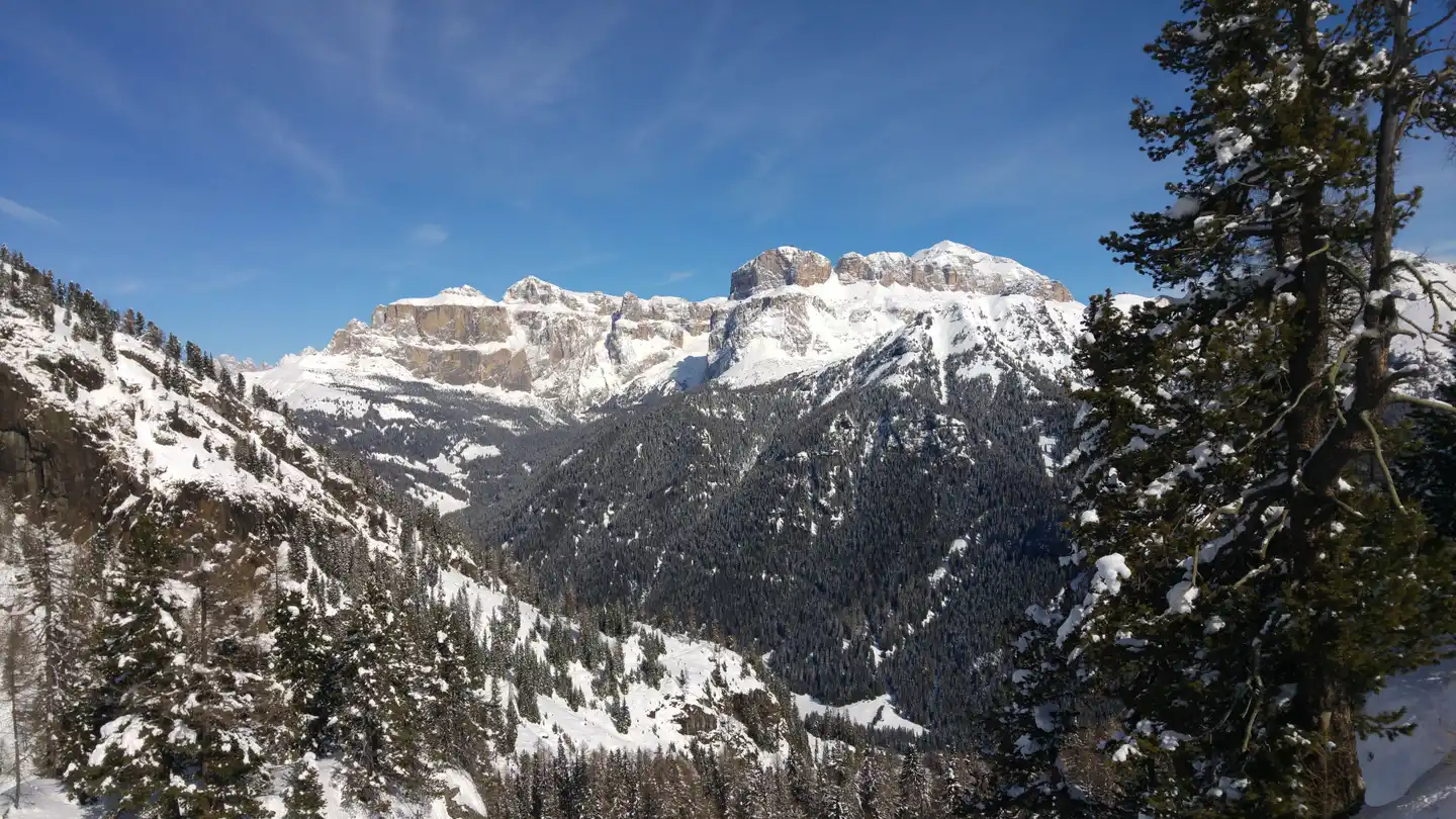 GH Monzoni Hotel Landschaft