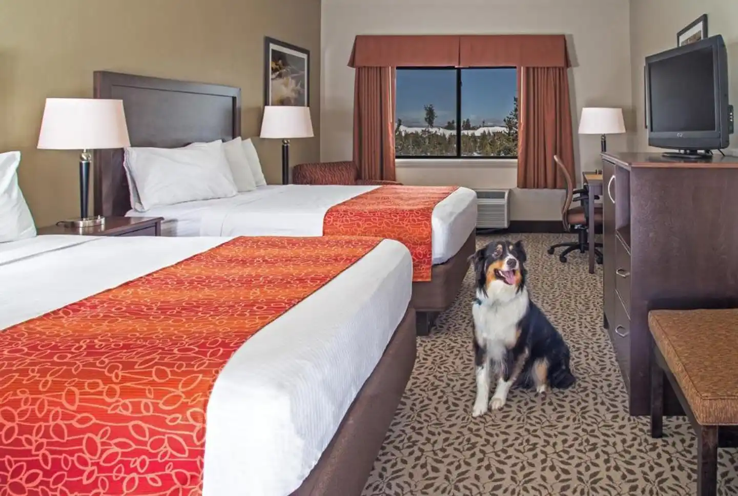 Gray Wolf Inn & Suites Wohnbeispiel