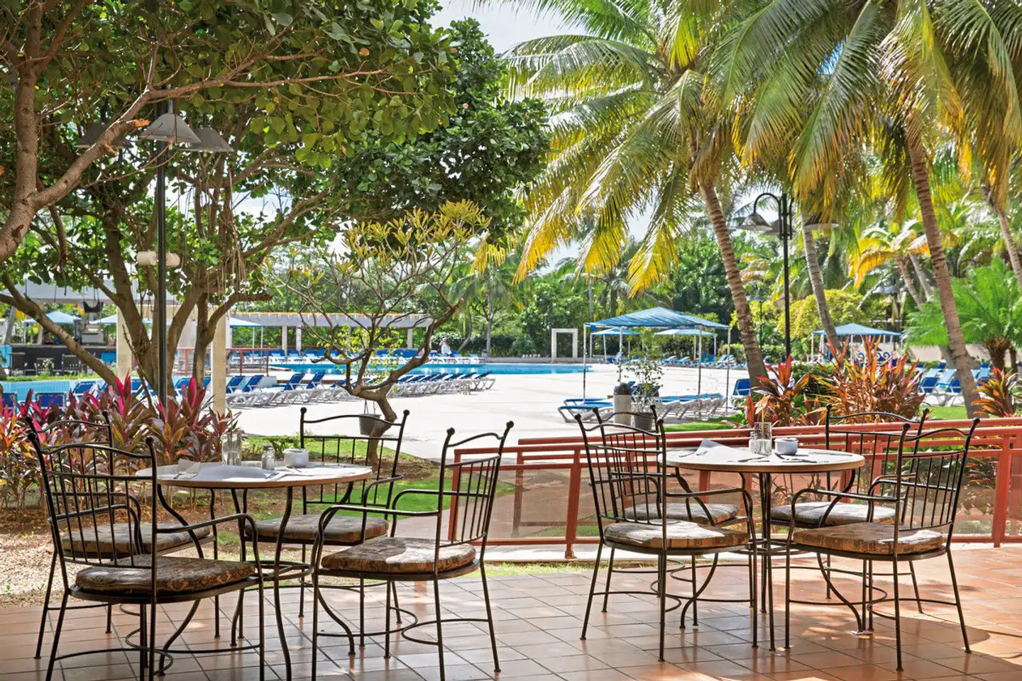 Memories Miramar Terrasse