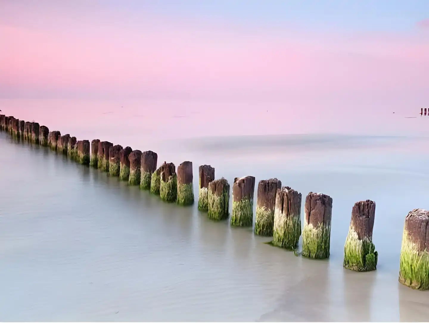 Inselhotel Poel Landschaft