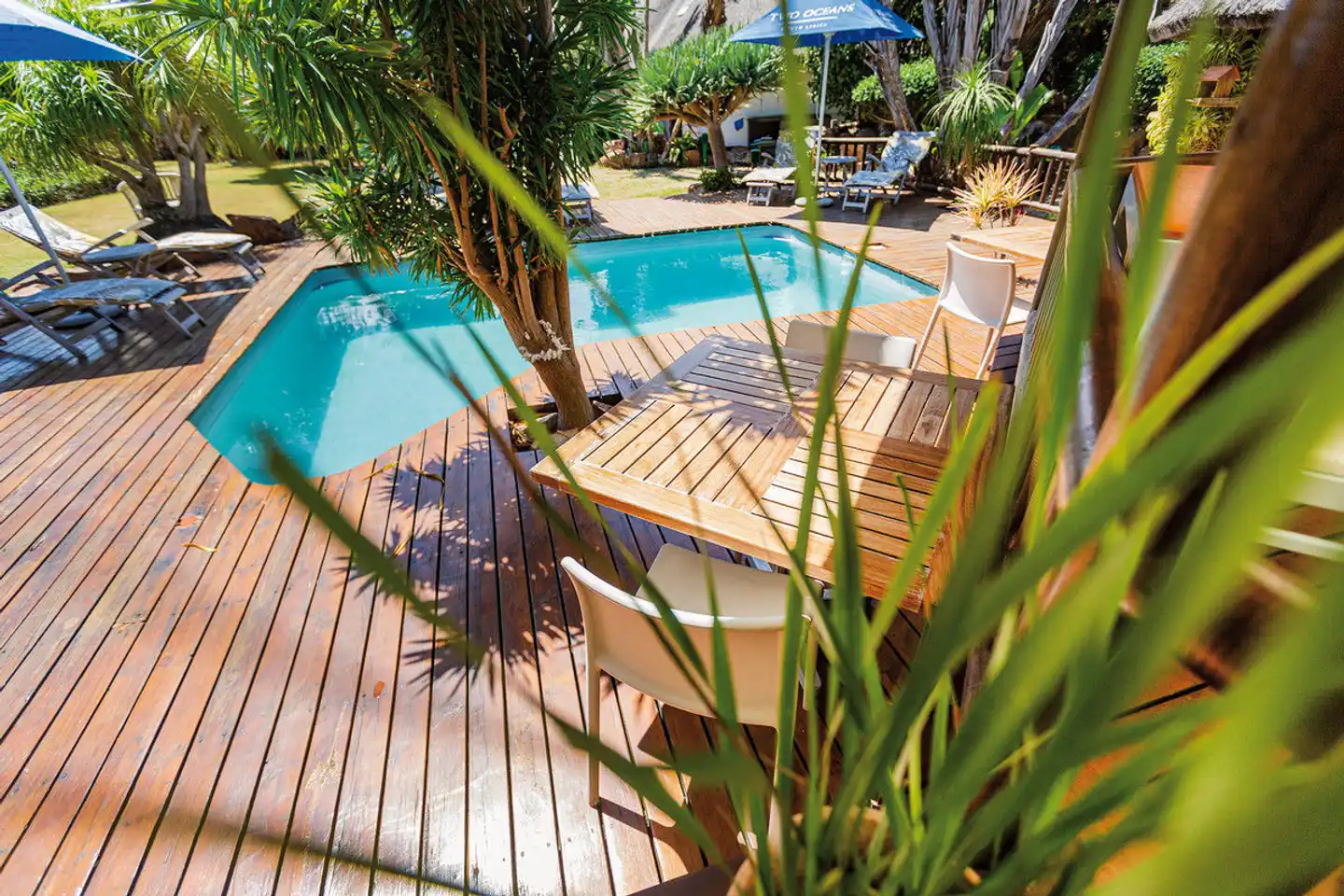 Sandals Guesthouse Pool