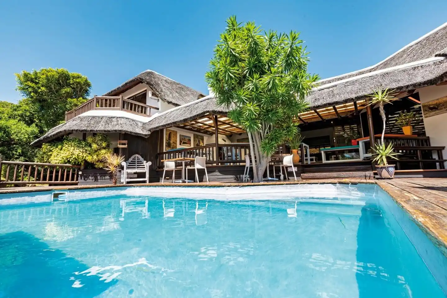 Sandals Guesthouse Pool