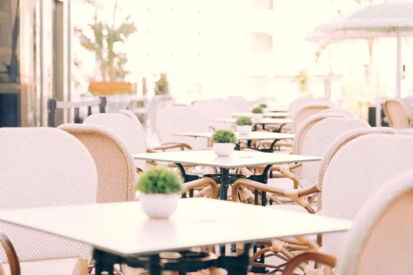 Marina Terrasse