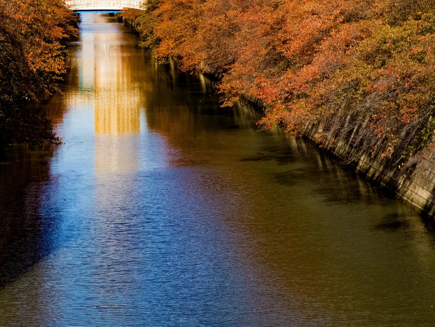 The Westin Tokyo Landschaft