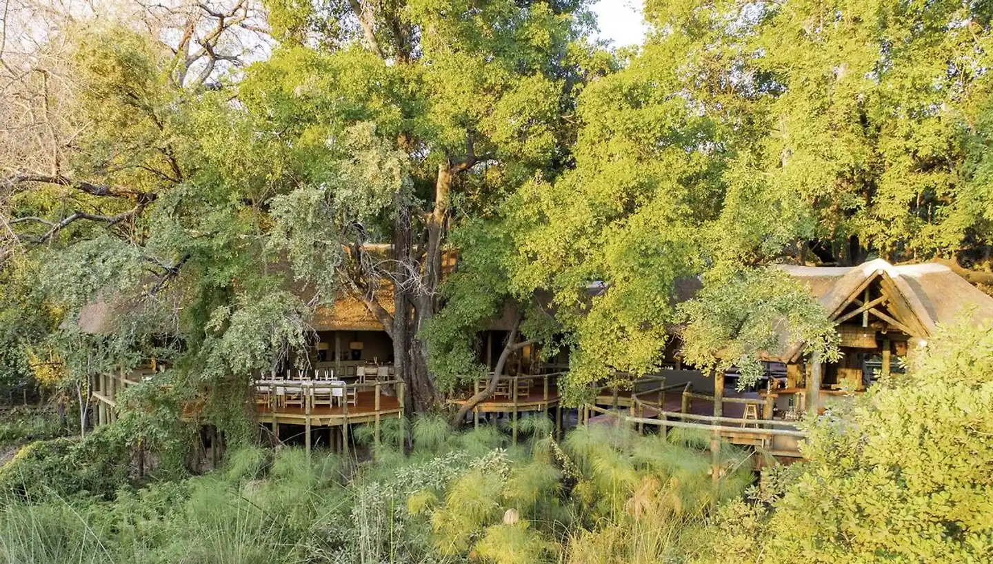 Camp Moremi Garten