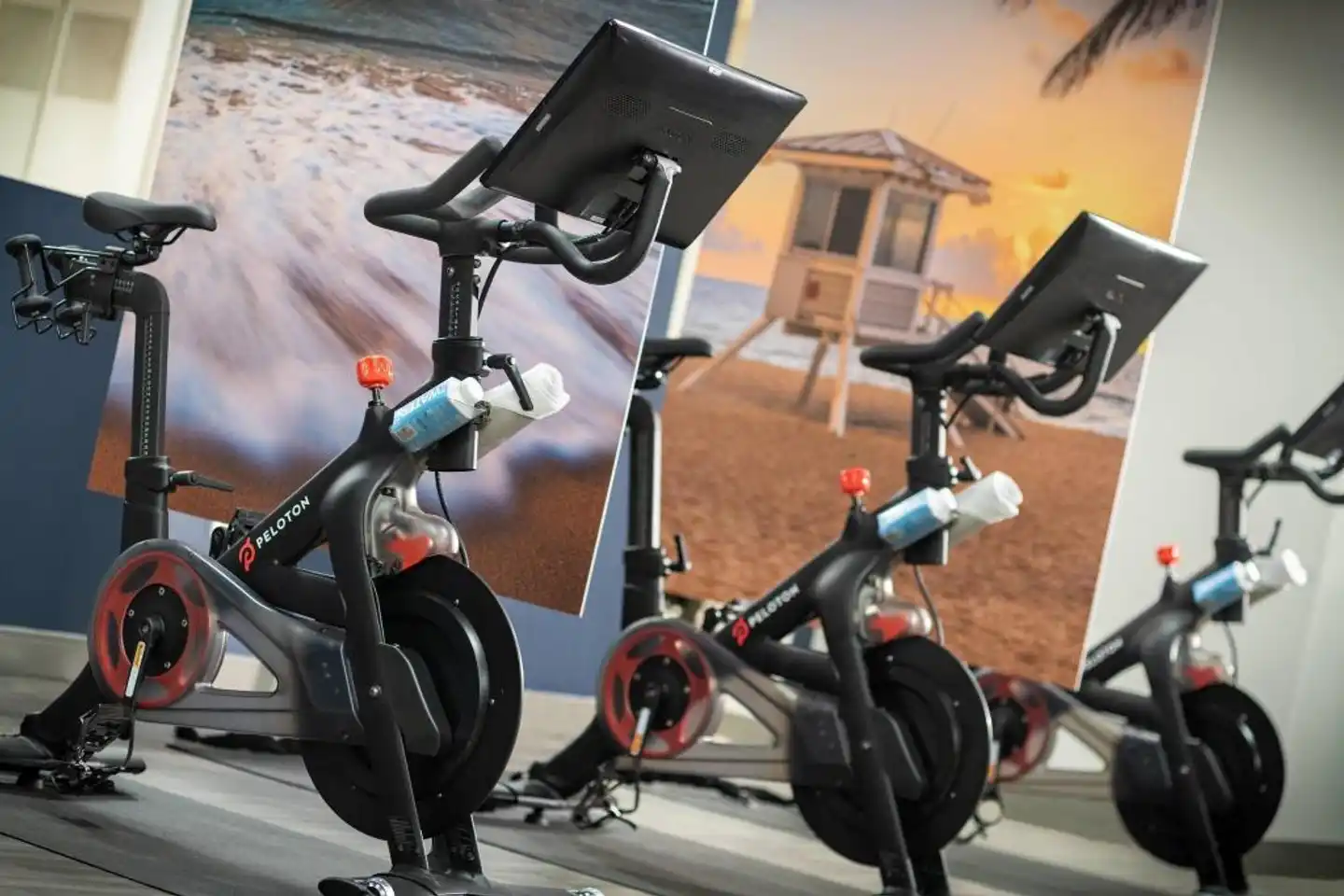 Renaissance Orlando at SeaWorld® Sport und Entertainment