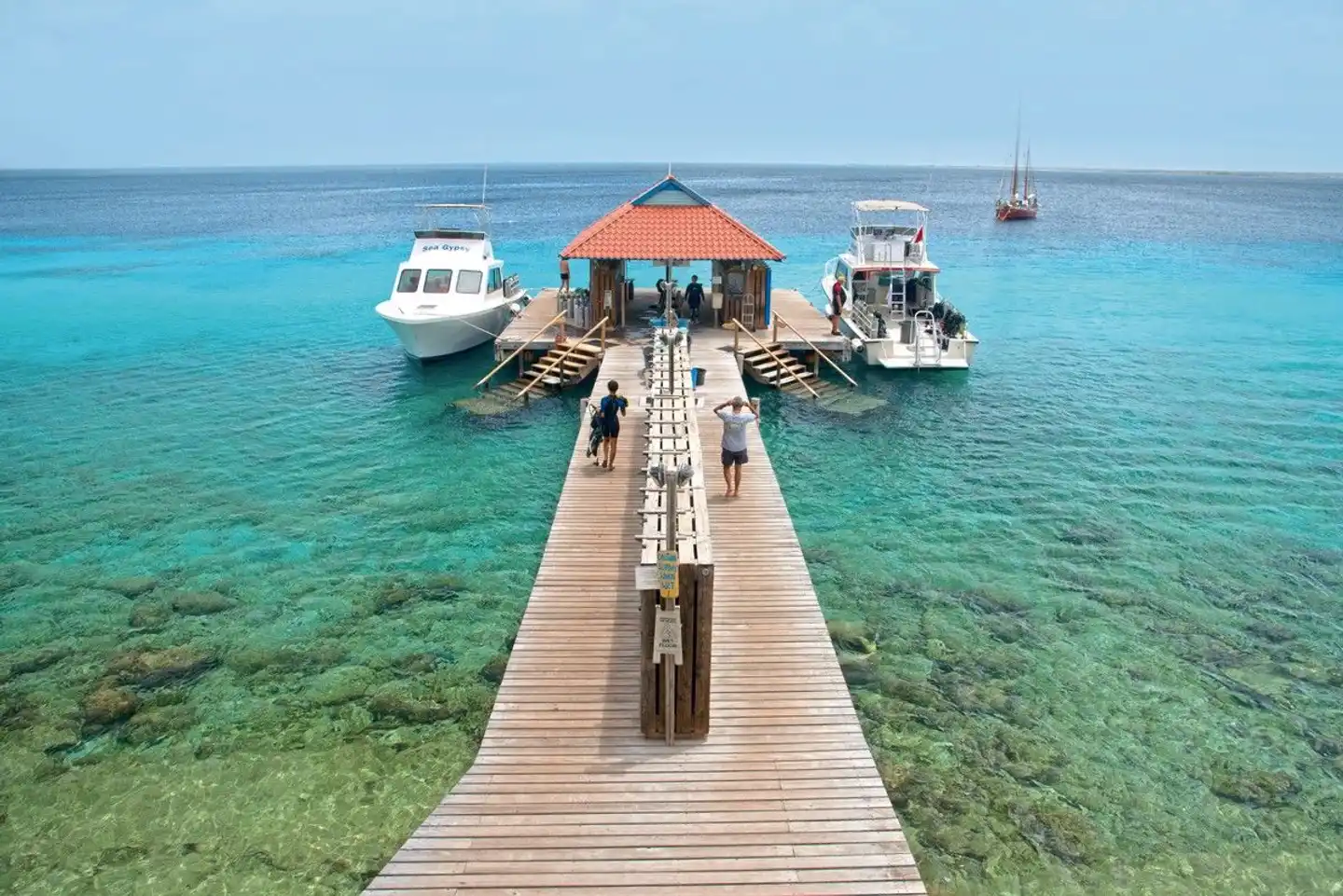 Divi Flamingo Beach Resort & Casino Landschaft