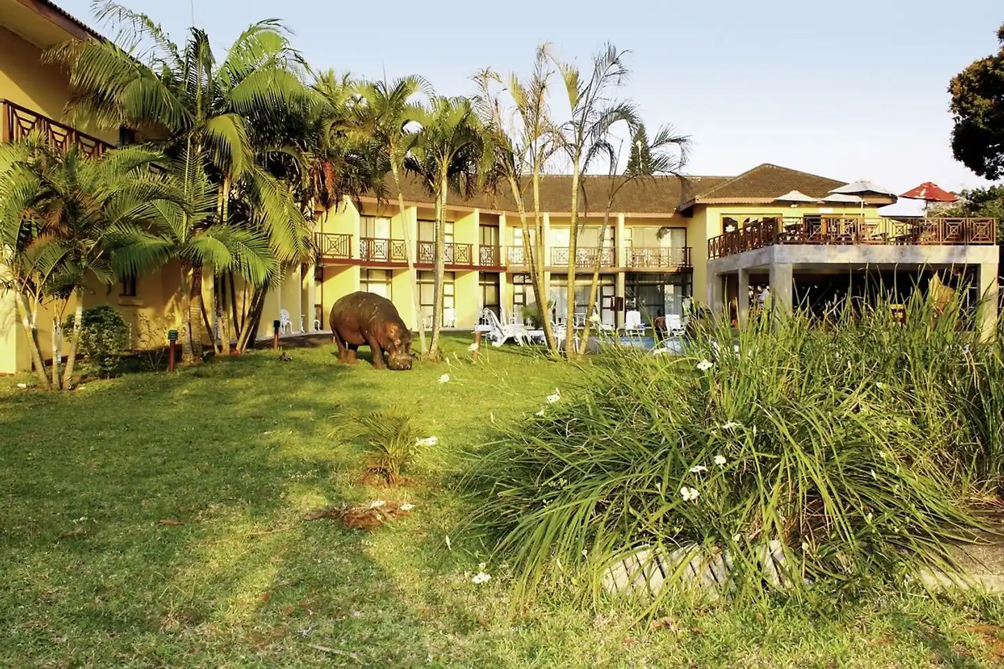 Elephant Lake Hotel Tiere