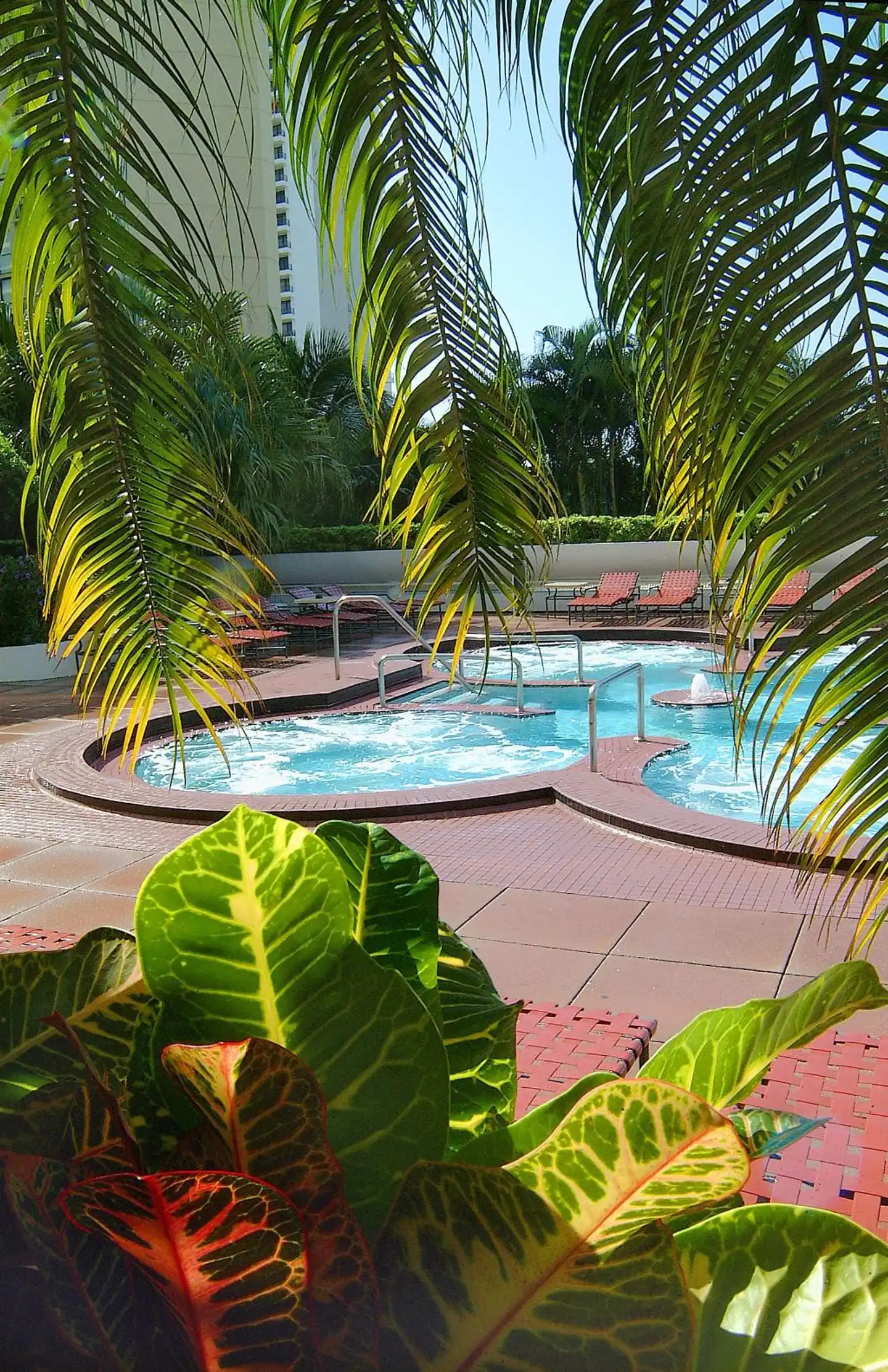 DoubleTree by Hilton Grand Hotel Biscayne Bay Pool