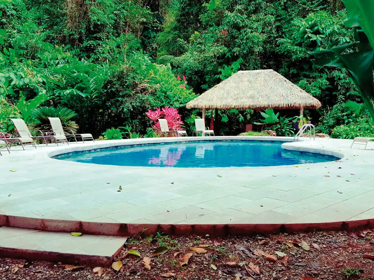 Esquinas Rainforest Lodge Pool