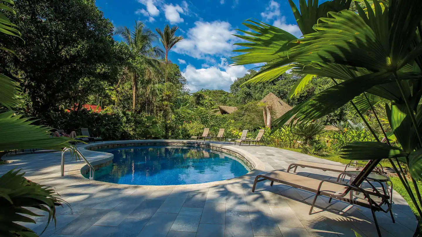 Esquinas Rainforest Lodge Pool