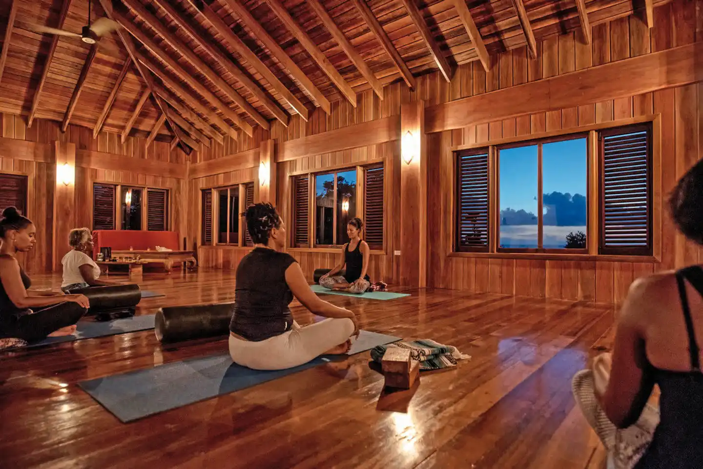 Jungle Bay Wellness