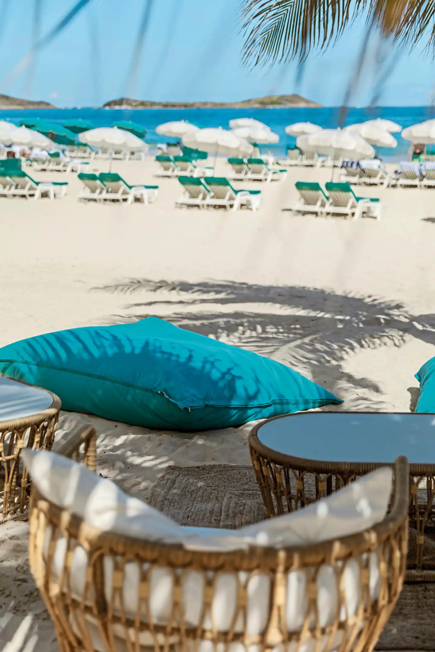 La Playa Orient Bay Tiere