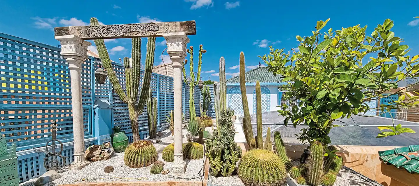 Riad Armelle Terrasse