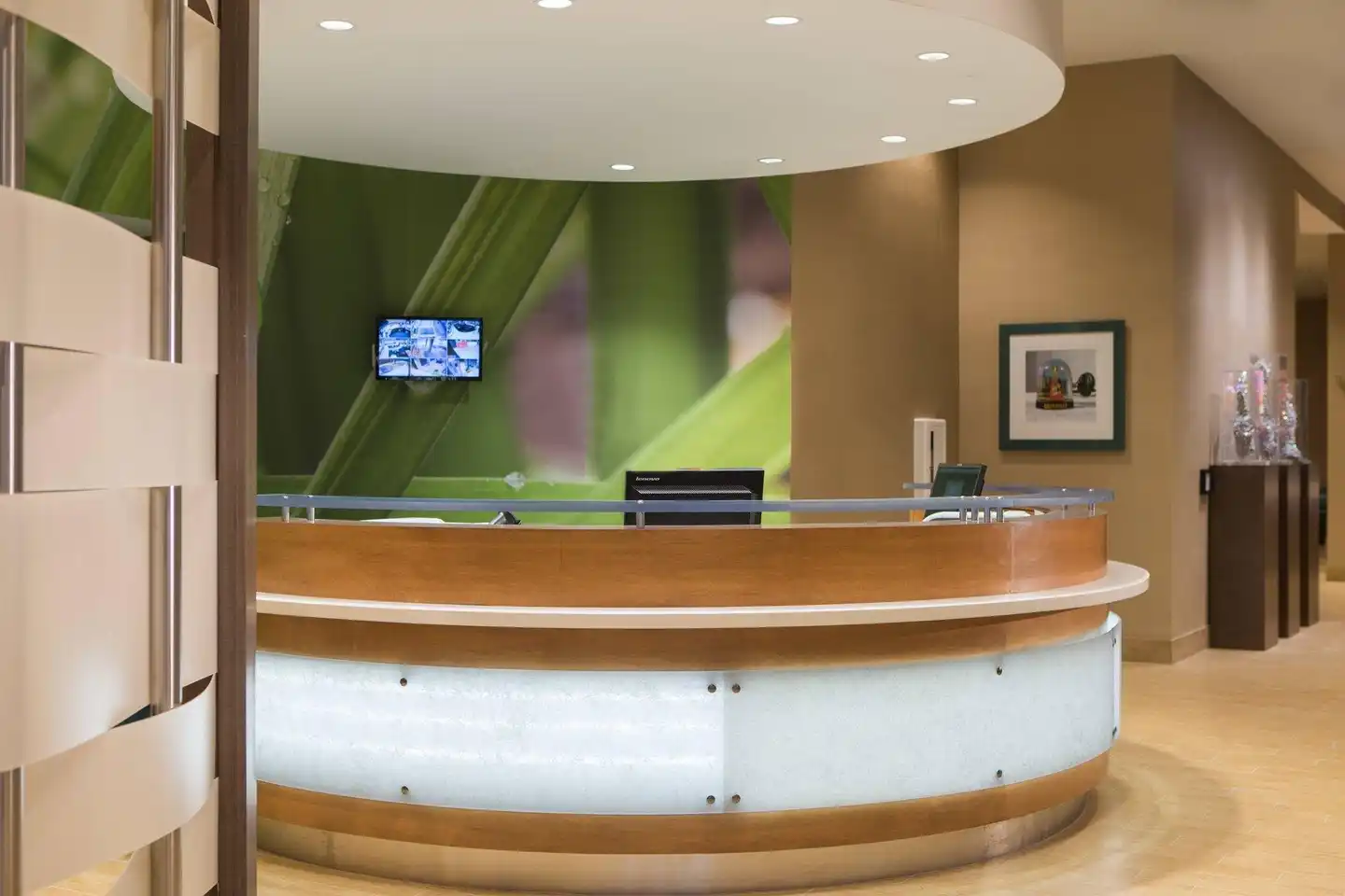 SpringHill Suites Nashville Vanderbilt/West End Sport und Entertainment