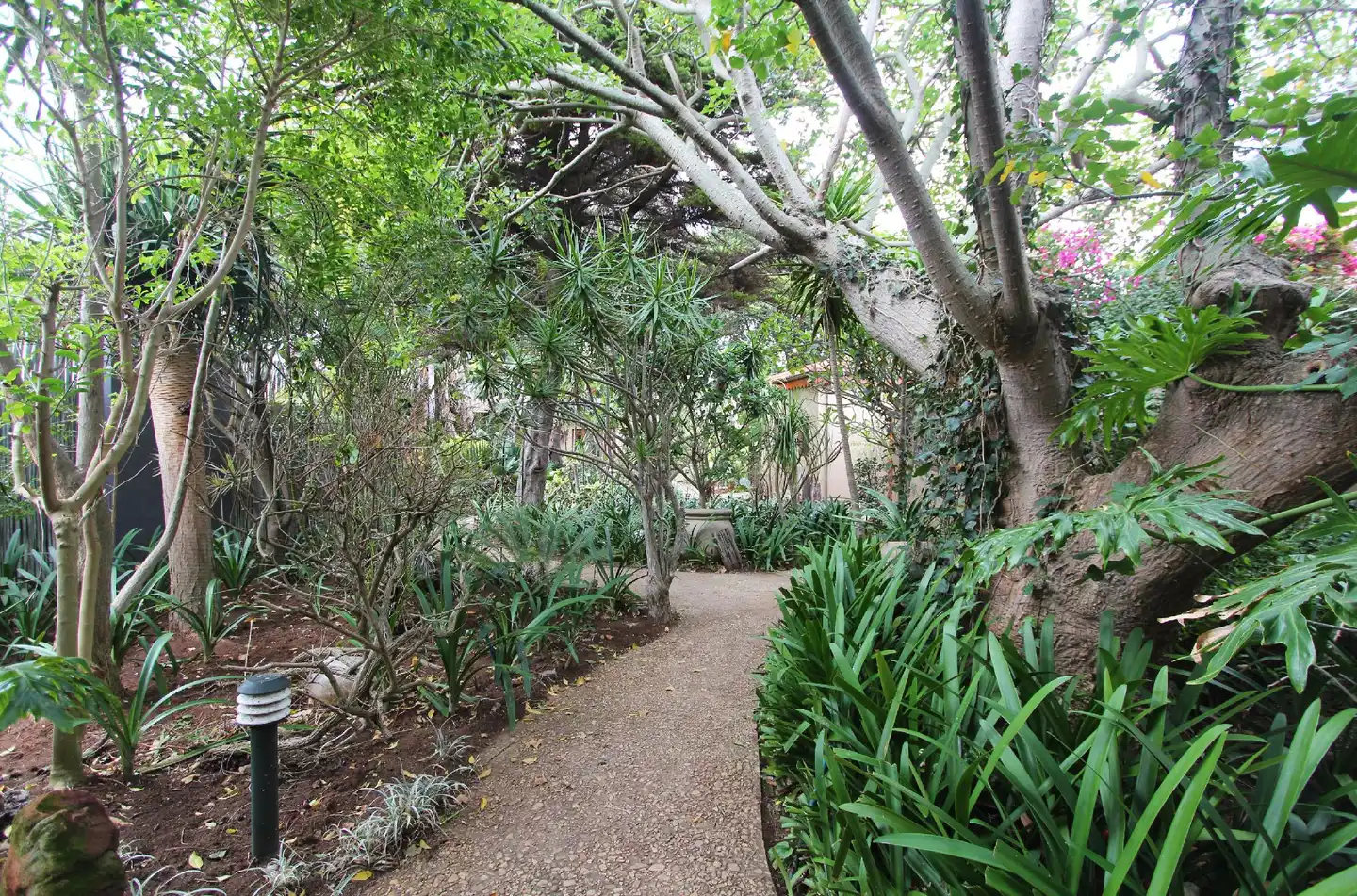 Singa Town Lodge Garten