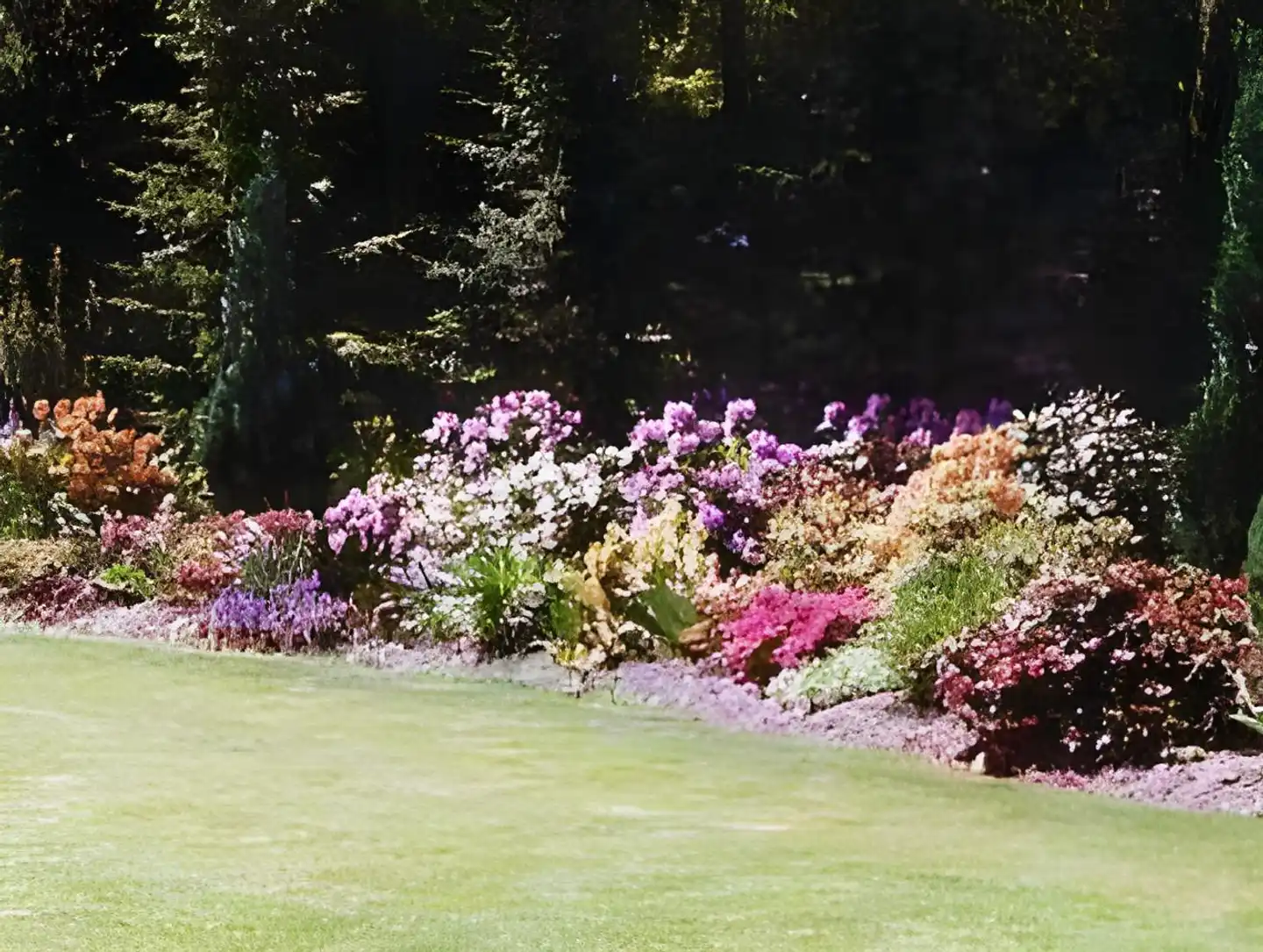 Amselhof Garten