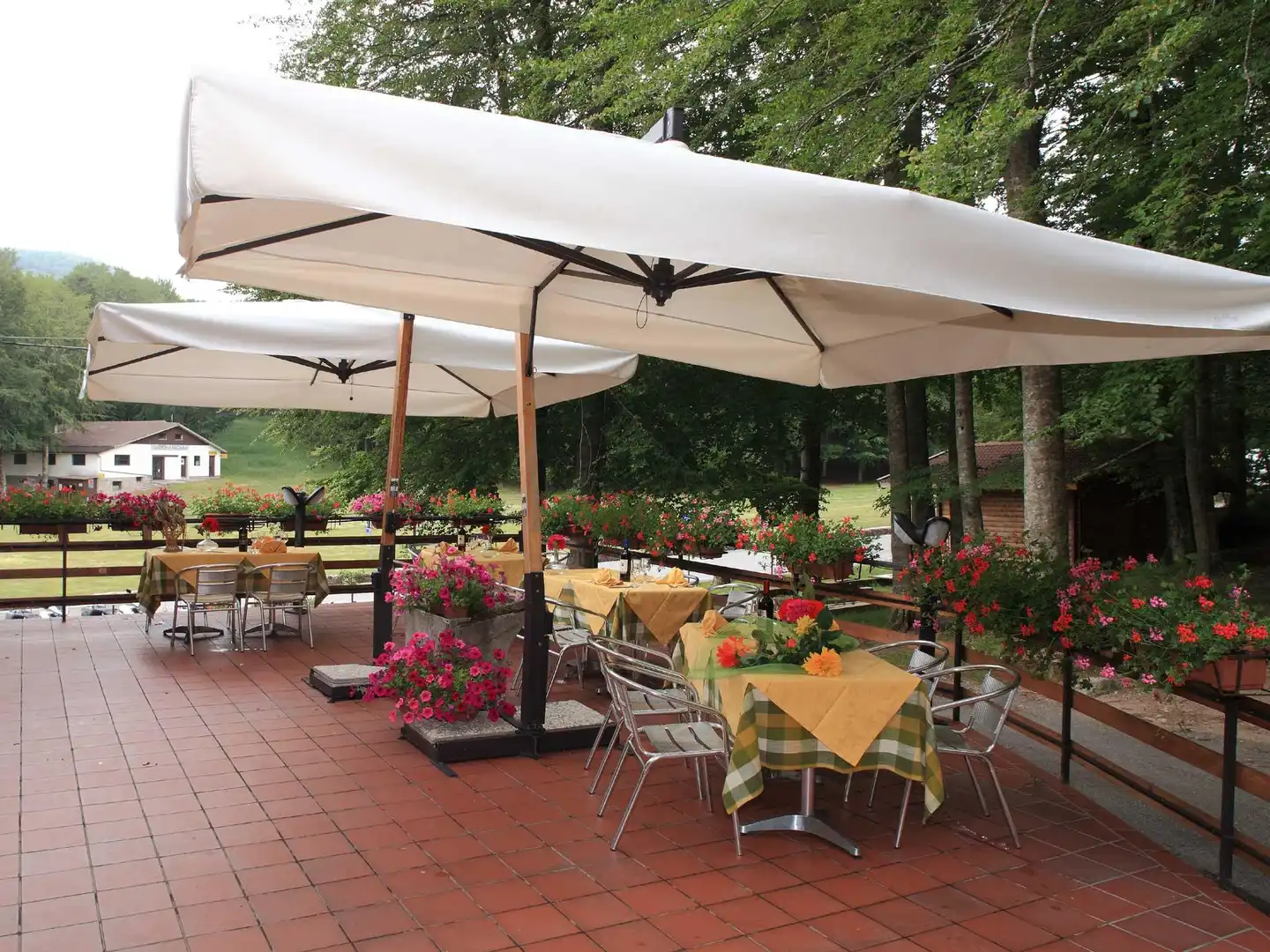 Le Macinaie Terrasse