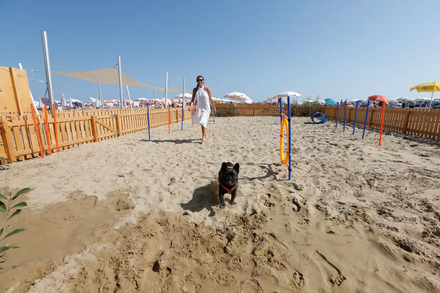 Camping Sabbiadoro Sport und Entertainment