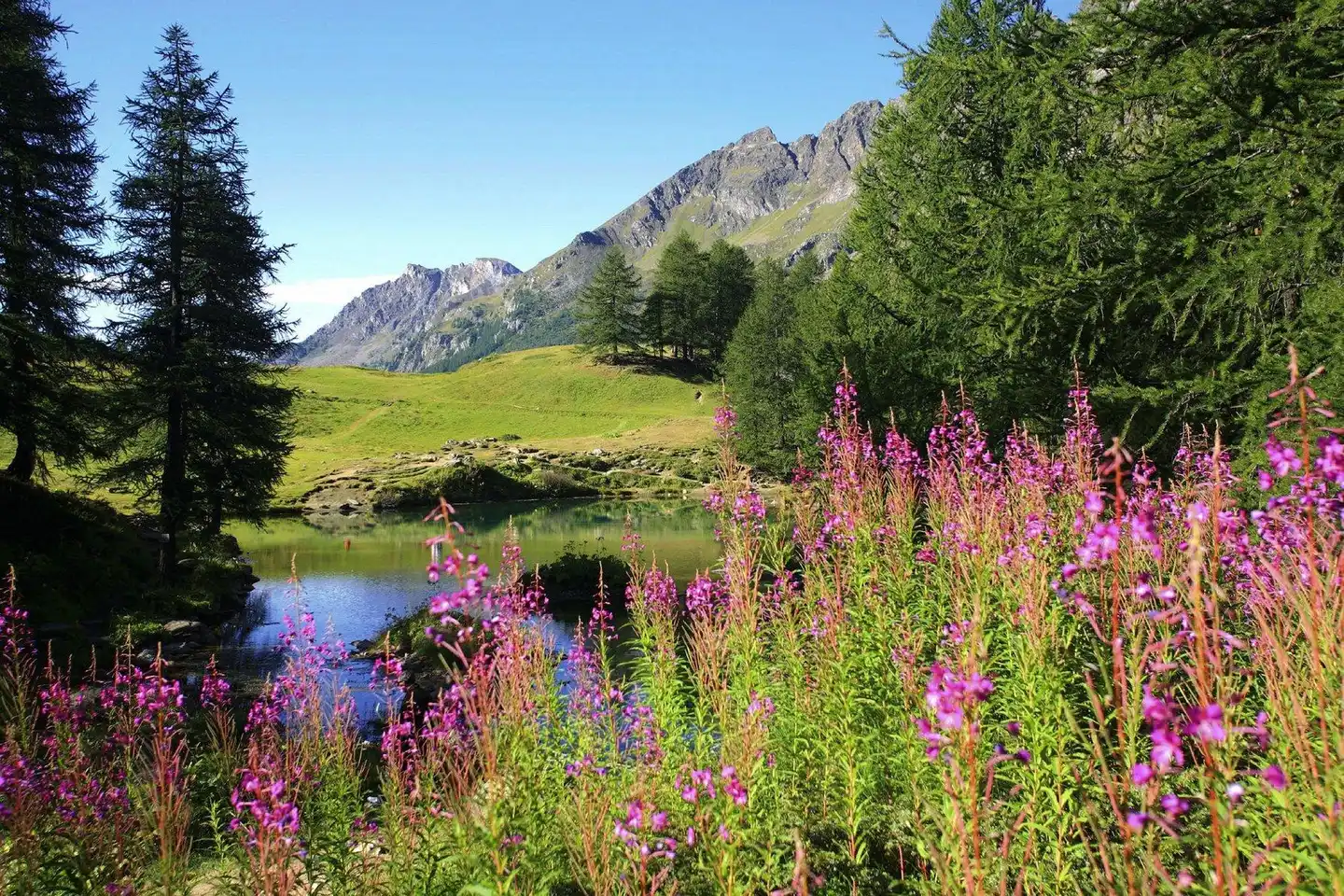 Crowne Plaza Anchorage-Midtown Landschaft