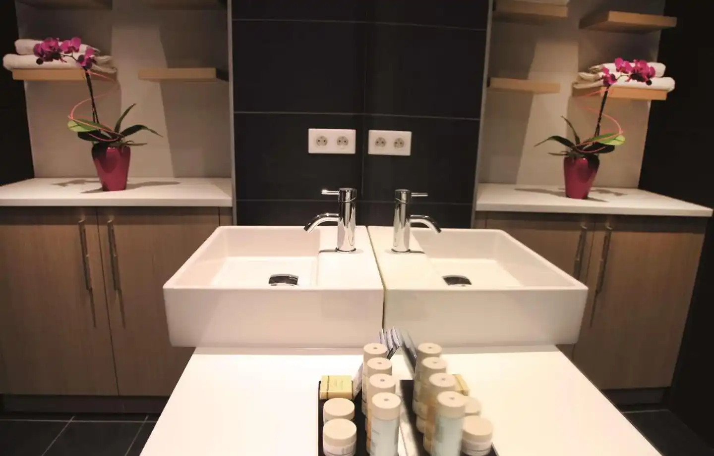 Radisson Blu Resort & Spa, Ajaccio Bay Konferenz