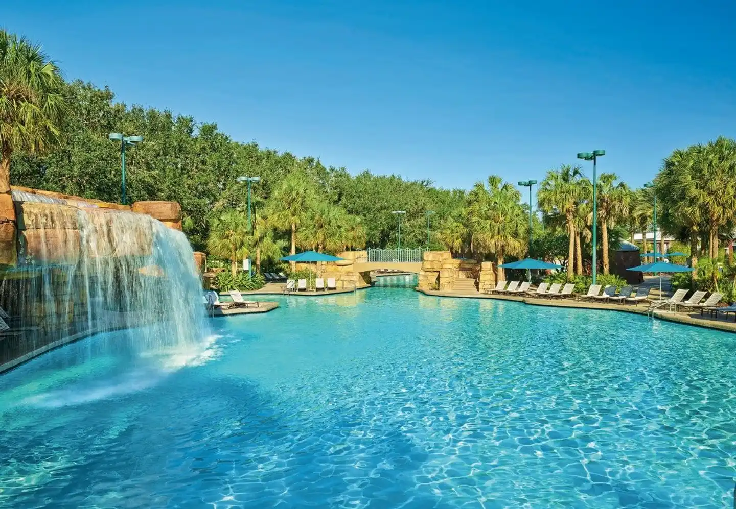 Walt Disney World Dolphin Pool