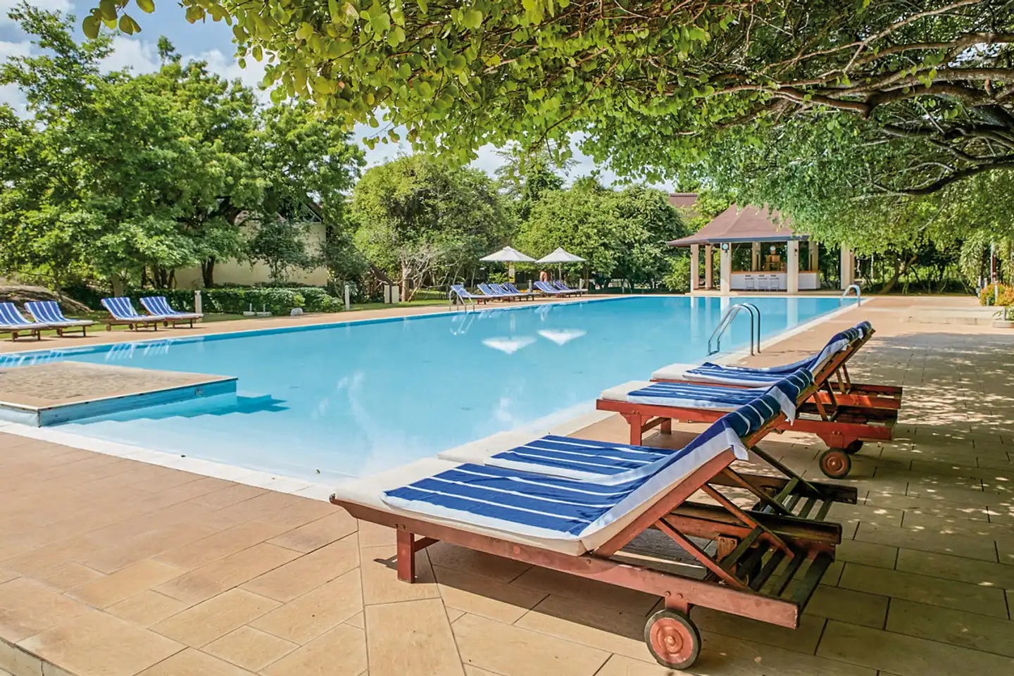 Occidental Paradise Dambulla Pool
