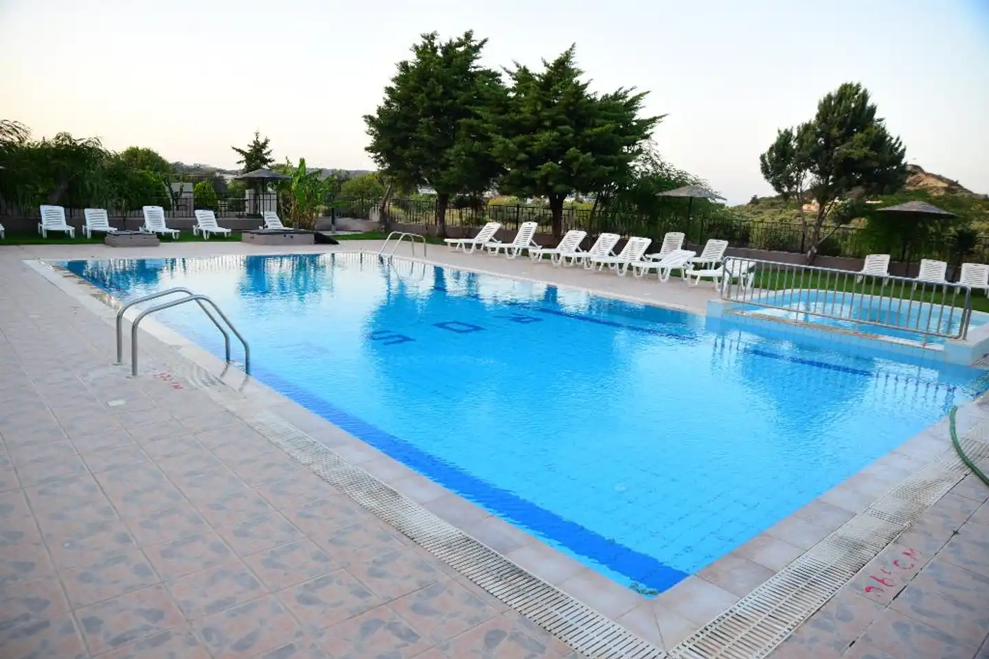 Rose Hotel Pool