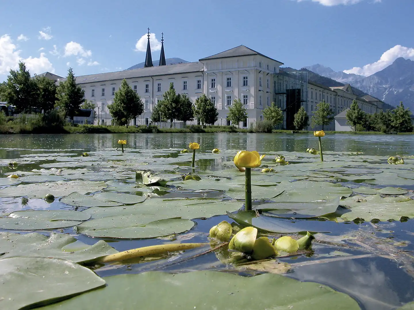 Spirodom Admont Garten