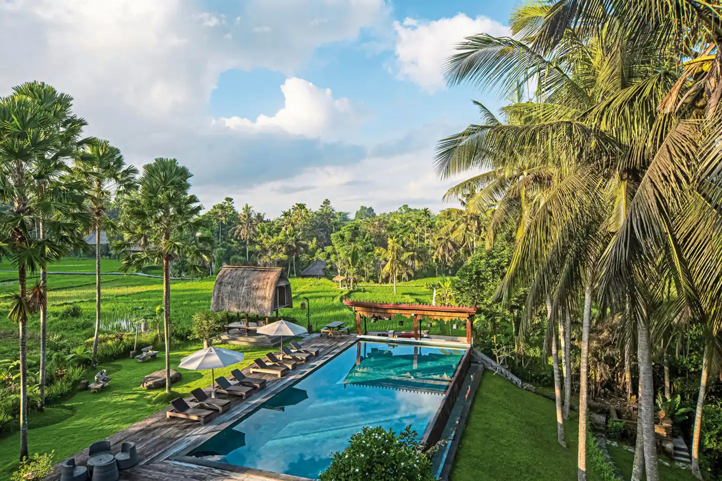 The Artini Dijiwa Ubud Pool