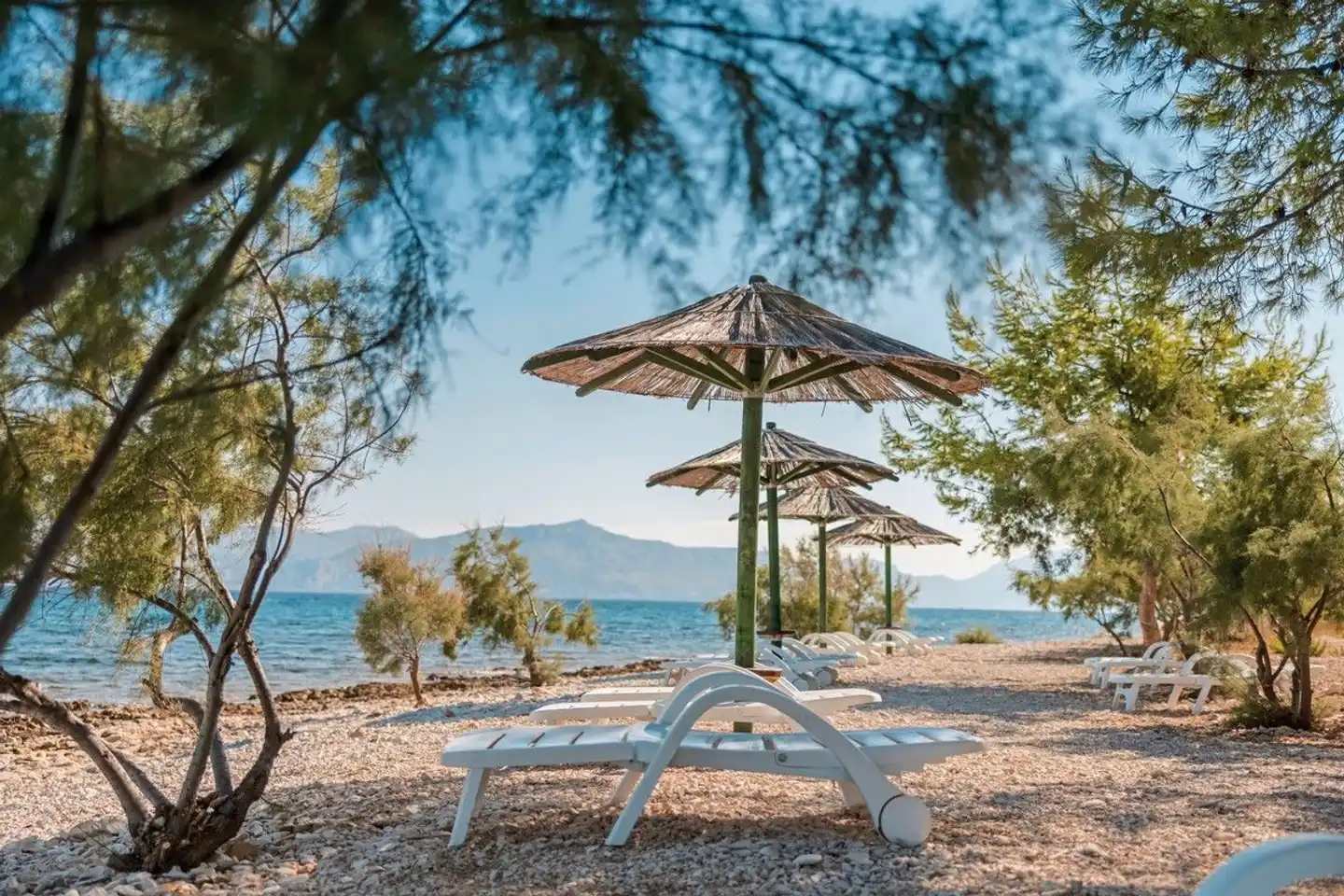 Watermann Beach Village Camp & Glamping Garten